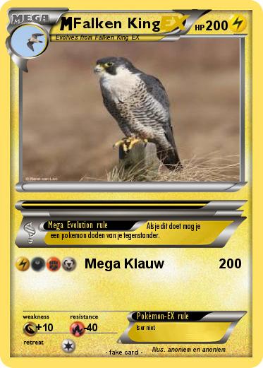 Pokemon Falken King