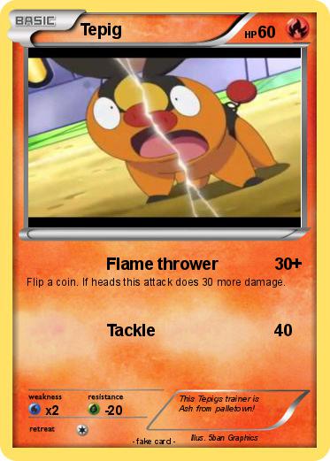Pokemon Tepig