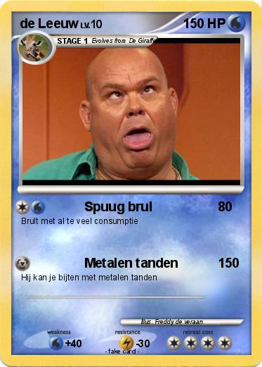 Pokemon de Leeuw