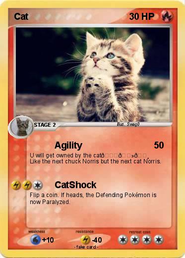 Pokemon Cat