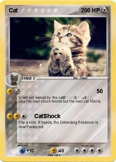 Pokemon Cat