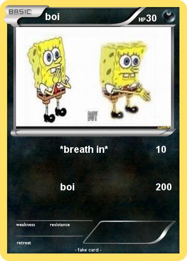 Pokemon boi