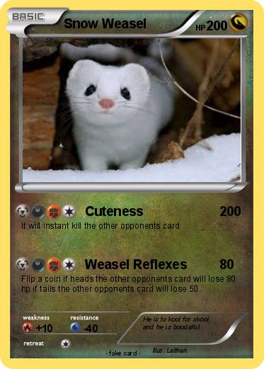 Pokemon Snow Weasel