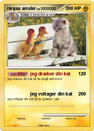 Pokemon ninjaa ænder