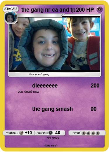 Pokemon the gang nr ca and tp