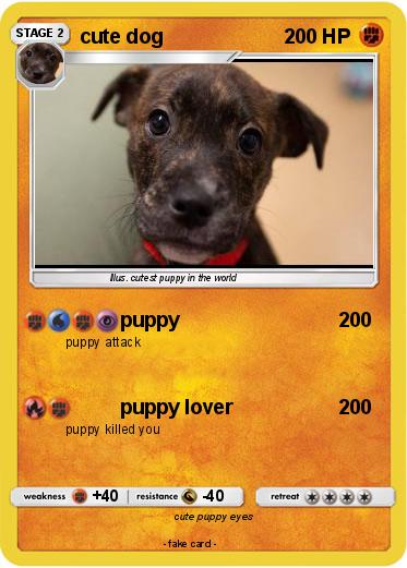 Pokemon cute dog