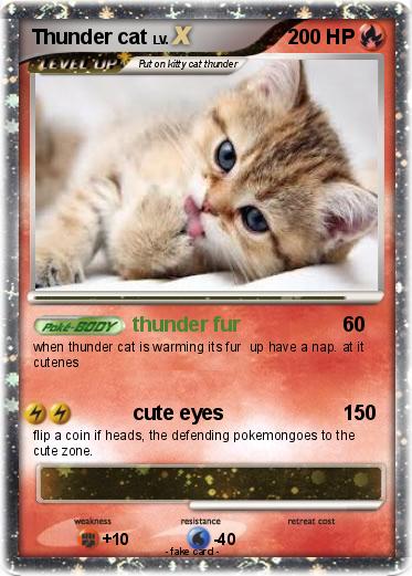 Pokemon Thunder cat