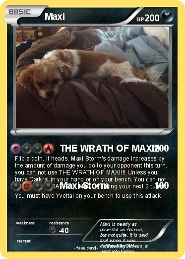 Pokemon Maxi