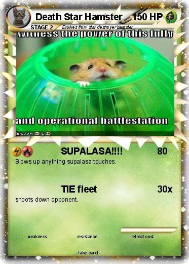 Pokemon Death Star Hamster