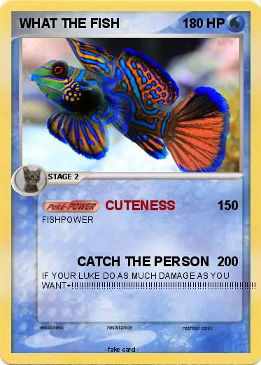 Pokemon WHAT THE FISH