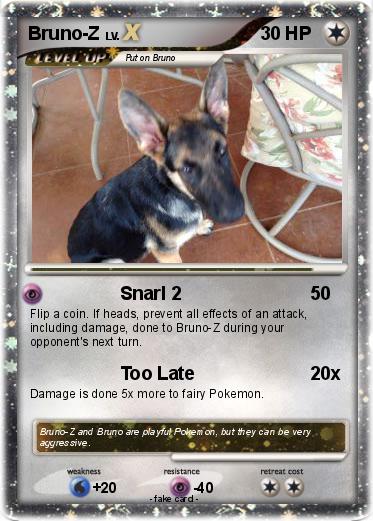 Pokemon Bruno-Z