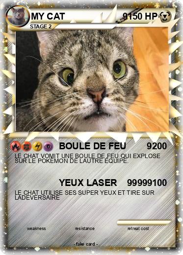 Pokemon MY CAT                       9