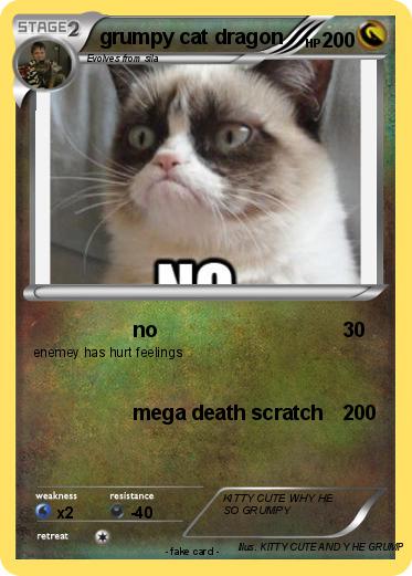 Pokemon grumpy cat dragon