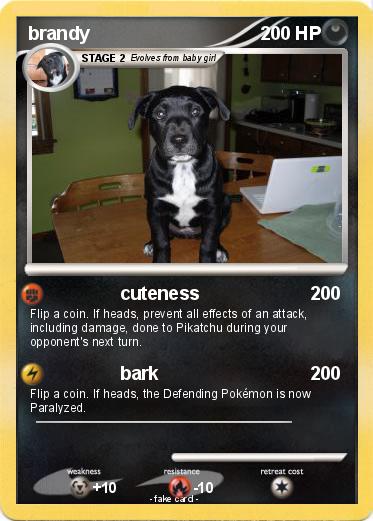 Pokemon brandy