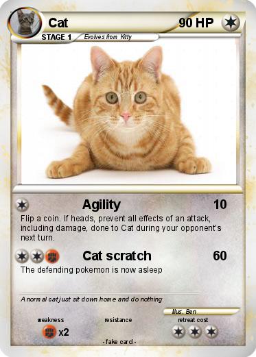Pokemon Cat