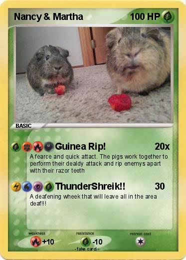 Pokemon Nancy & Martha