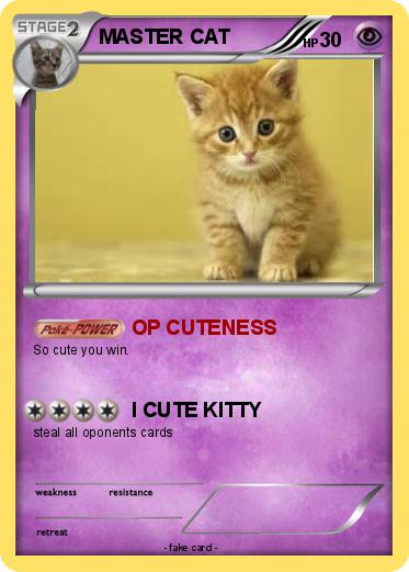 Pokemon MASTER CAT