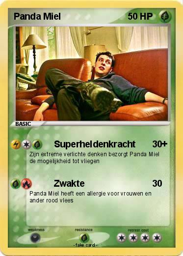 Pokemon Panda Miel