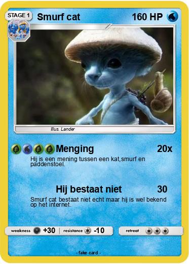 Pokemon Smurf cat