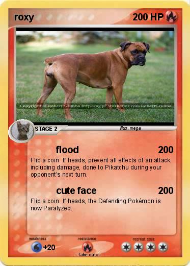 Pokemon roxy