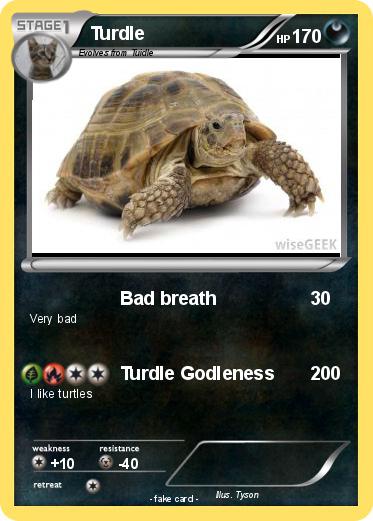 Pokemon Turdle
