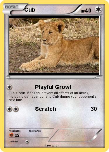 Pokemon Cub