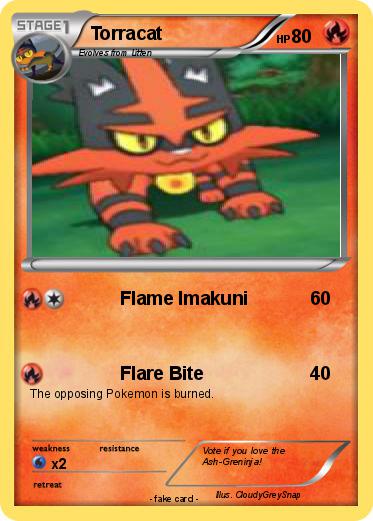 Pokemon Torracat
