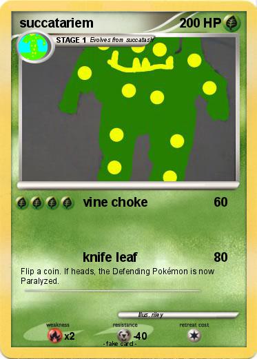 Pokemon succatariem