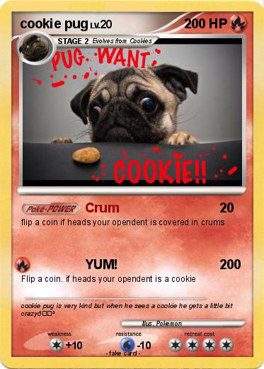 Pokemon cookie pug