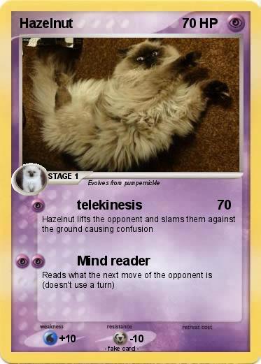 Pokemon Hazelnut