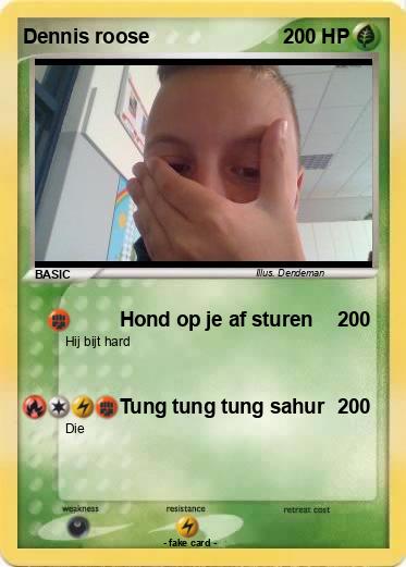 Pokemon Dennis roose