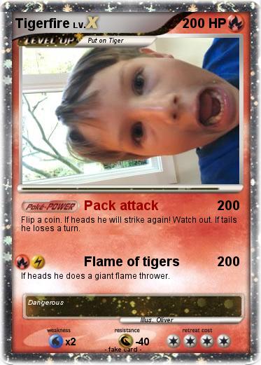 Pokemon Tigerfire