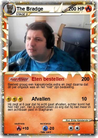 Pokemon The Bradge Pokemon The Bradge