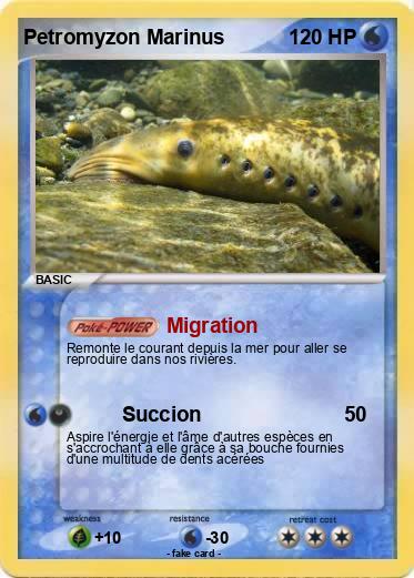 Pokemon Petromyzon Marinus