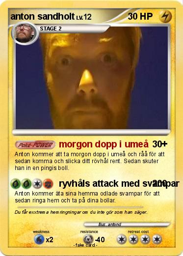 Pokemon anton sandholt