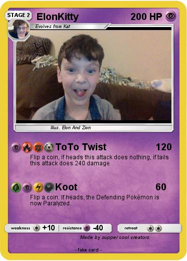 Pokemon ElonKitty
