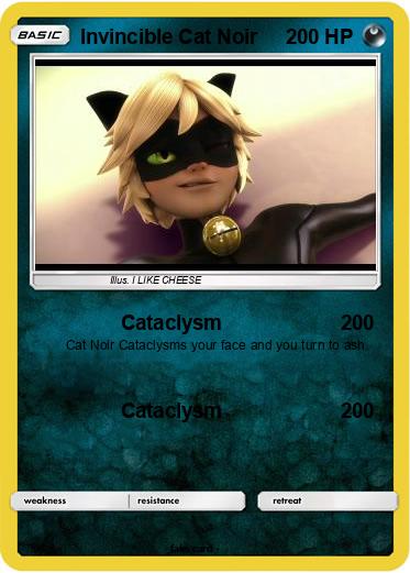 Pokemon Invincible Cat Noir
