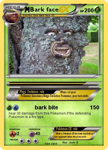Pokemon Bark face