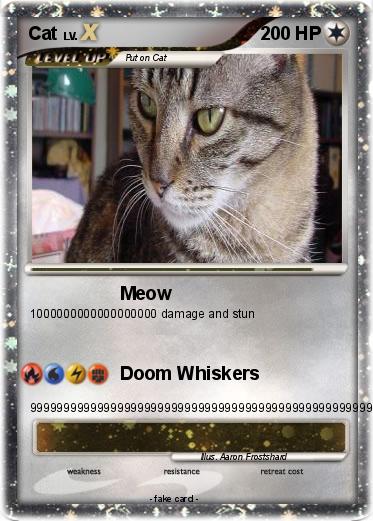 Pokemon Cat