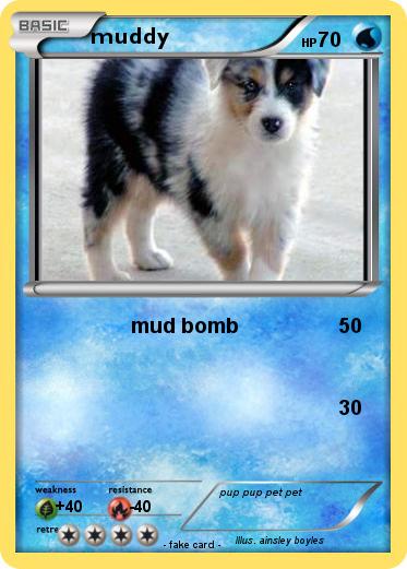 Pokemon muddy