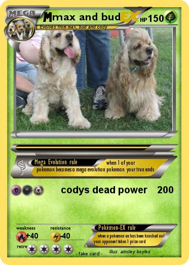 Pokemon max and bud