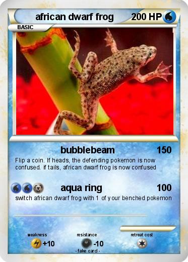 Pokemon african dwarf frog Pokemon african dwarf frog