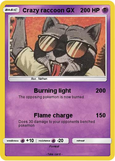 Pokemon Crazy raccoon GX