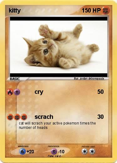Pokemon kitty