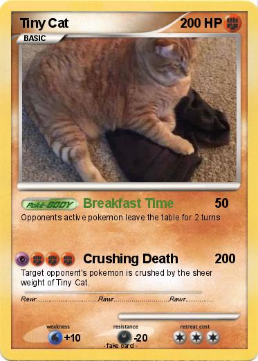 Pokemon Tiny Cat