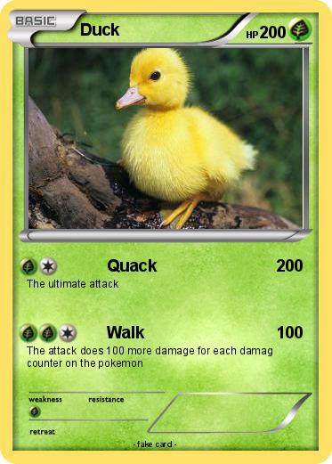 Pokemon Duck