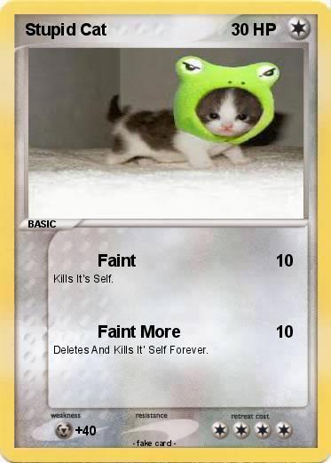 Pokemon Stupid Cat