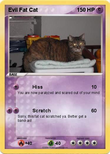 Pokemon Evil Fat Cat