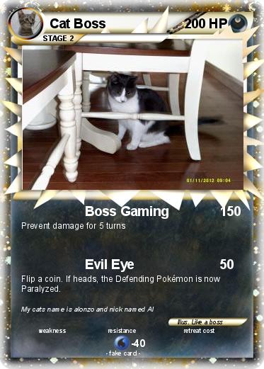 Pokemon Cat Boss