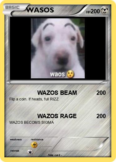 Pokemon WASOS